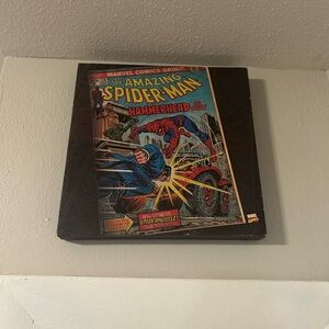 Amazing Spider-Man Comic Wall Art